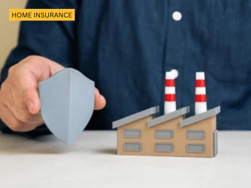 Inscarss (503 x 378 px) (23)