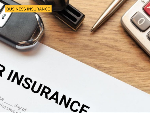 Inscarss (503 x 378 px) (15)