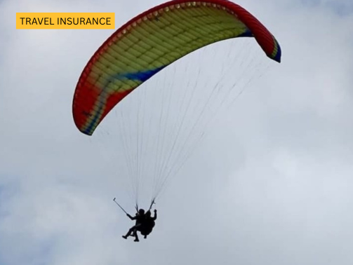 Inscarss (503 x 378 px) (8)